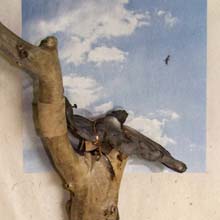 Volaba series sculpture